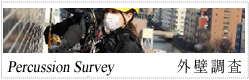 外壁調査